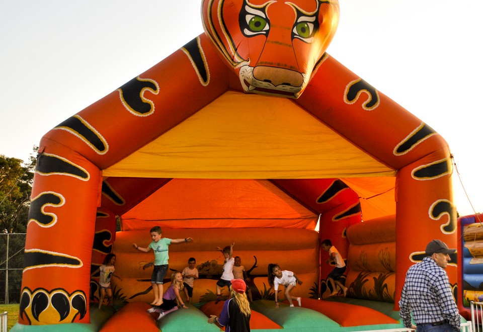 Tiger Jumping Castle for Hire - Carnival Rides Sydney